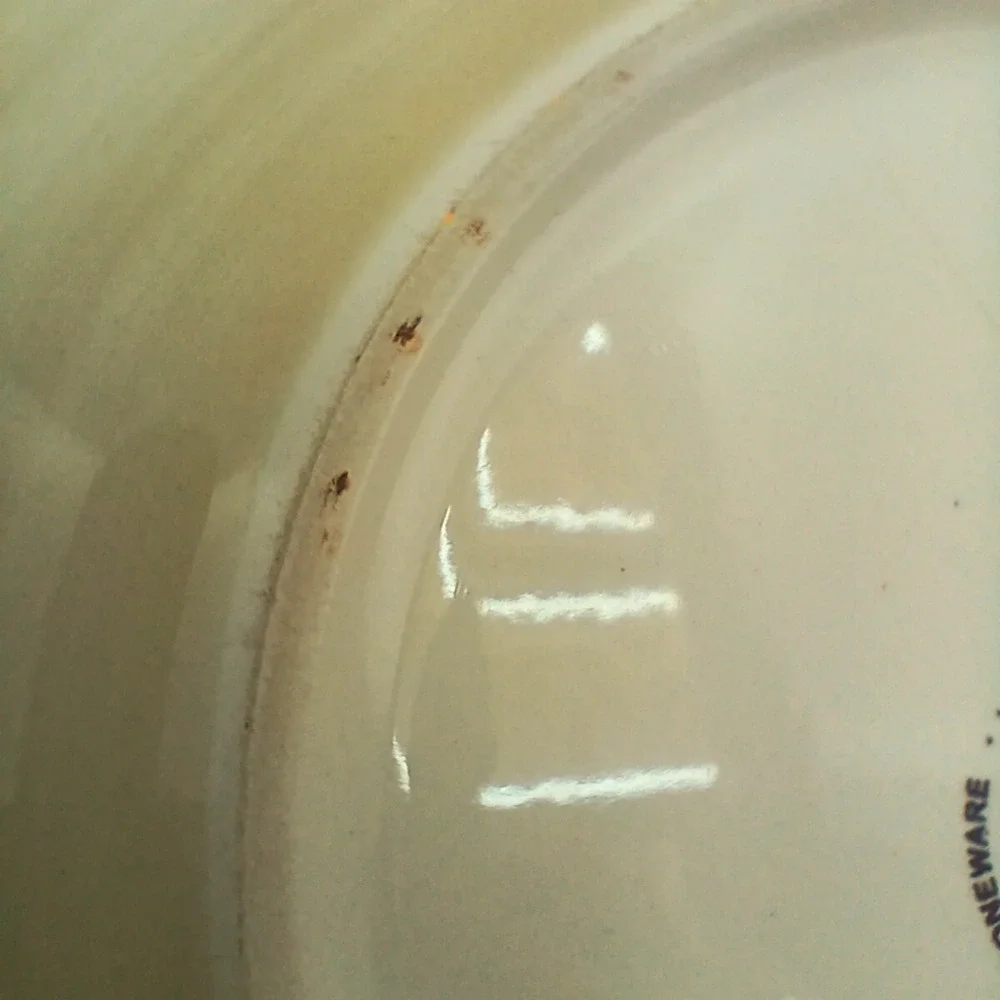 Home American Simplicity Stoneware Dinner Plates 11